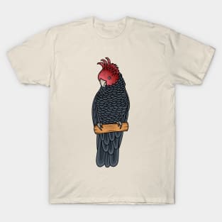 Gang gang cockatoo bird cartoon illustration T-Shirt